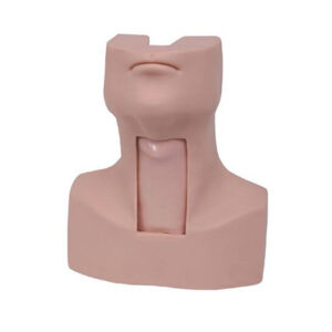 Advance Thyrocricocentesis Tracheostomy simulator 58