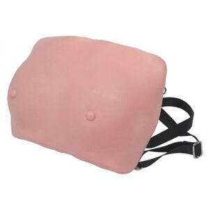 Breast Examination Model 14