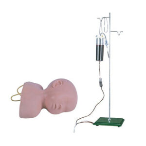 Infant Scalp Venipuncture Training Model G1