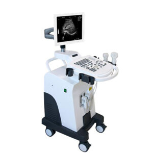 Digital Ultrasound Scanner