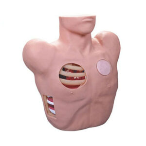 Thoracentesis Drainage Model L66