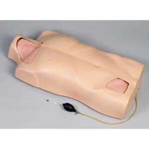 Full-function Central Venous Injection Torso Model AM-L68A L68A