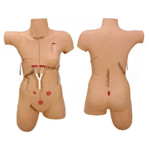 Surgical Suture and Bandage Model LV18
