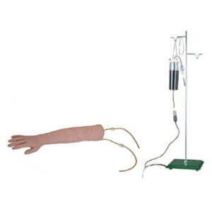 Arm Venipuncture Training Model S